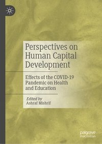 bokomslag Perspectives on Human Capital Development