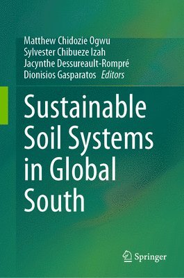 bokomslag Sustainable Soil Systems in Global South