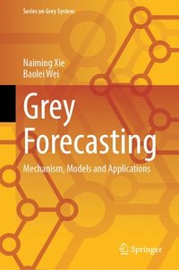 bokomslag Grey Forecasting