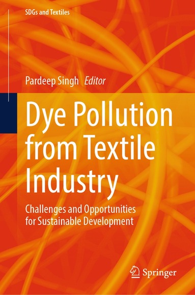 bokomslag Dye Pollution from Textile Industry