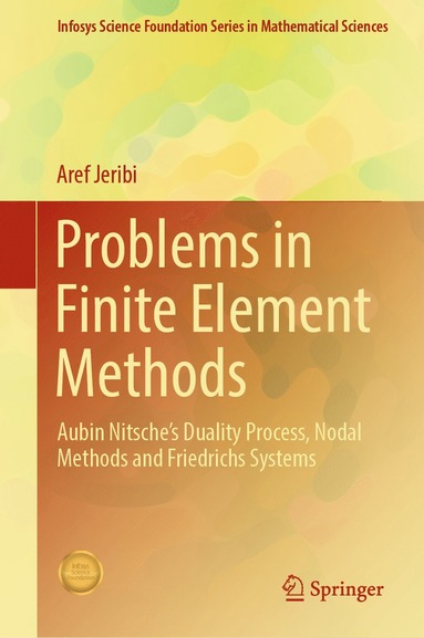 bokomslag Problems in Finite Element Methods