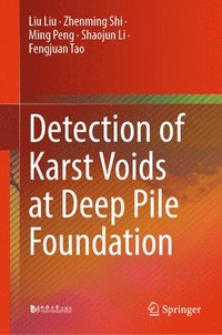 bokomslag Detection of Karst Voids at Deep Pile Foundation