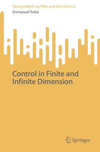 bokomslag Control in Finite and Infinite Dimension