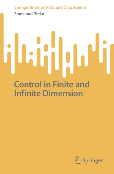 Emmanuel Trélat - Control in Finite and Infinite Dimension, Häftad
