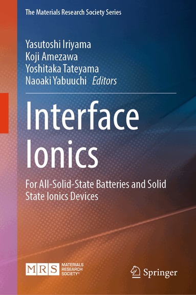 Yasutoshi Iriyama, Koji Amezawa, Yoshitaka Tateyama, Naoaki Yabuuchi - Interface Ionics, Inbunden