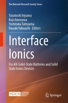 Interface Ionics 1