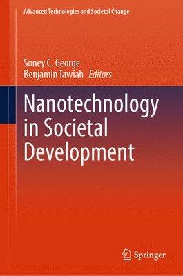 bokomslag Nanotechnology in Societal Development