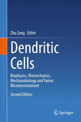 Zhu Zeng - Dendritic Cells, Inbunden