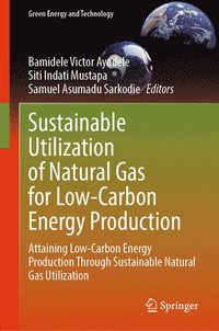 bokomslag Sustainable Utilization of Natural Gas for Low-Carbon Energy Production