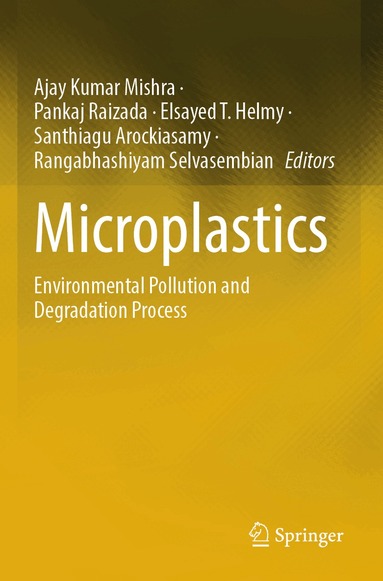 Ajay Kumar Mishra, Pankaj Raizada, Elsayed T. Helmy, Santhiagu Arockiasamy, Rangabhashiyam Selvasembian - Microplastics, Häftad