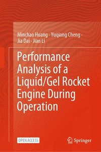 bokomslag Performance Analysis of a Liquid/Gel Rocket Engine During Operation