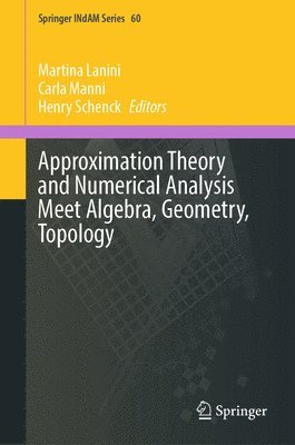 bokomslag Approximation Theory and Numerical Analysis Meet Algebra, Geometry, Topology