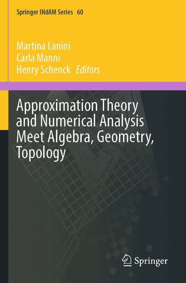 Martina Lanini, Carla Manni, Henry Schenck - Approximation Theory and Numerical Analysis Meet Algebra, Geometry, Topology, Häftad