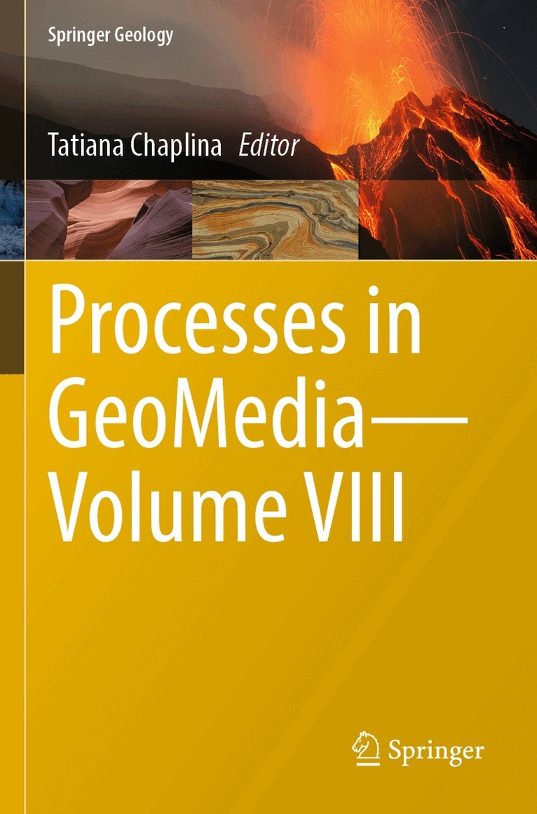 Tatiana Chaplina - Processes in GeoMedia—Volume VIII, Häftad