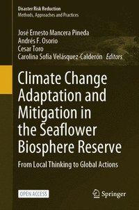 bokomslag Climate Change Adaptation and Mitigation in the Seaflower Biosphere Reserve