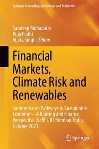 bokomslag Financial Markets, Climate Risk and Renewables