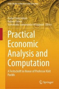 bokomslag Practical Economic Analysis and Computation