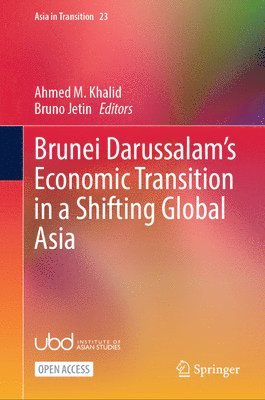 bokomslag Brunei Darussalam's Economic Transition in a Shifting Global Asia