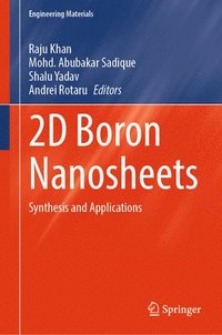 bokomslag 2D Boron Nanosheets