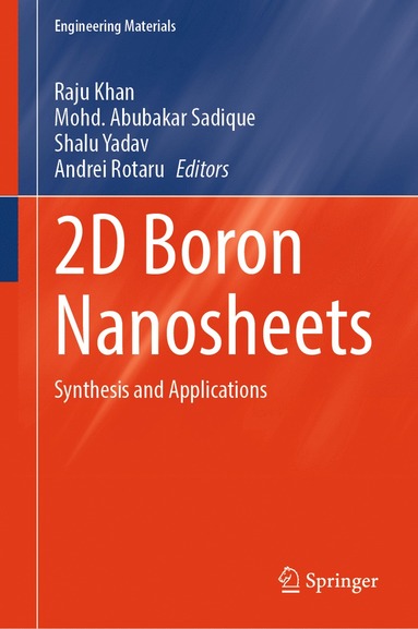 bokomslag 2D Boron Nanosheets