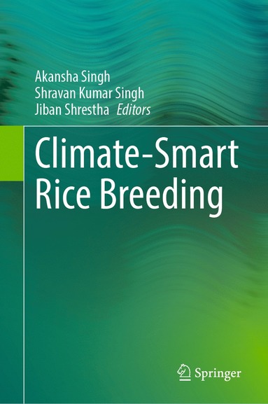 bokomslag Climate-Smart Rice Breeding