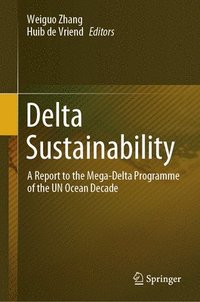 bokomslag Delta Sustainability