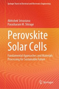 bokomslag Perovskite Solar Cells