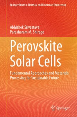 bokomslag Perovskite Solar Cells