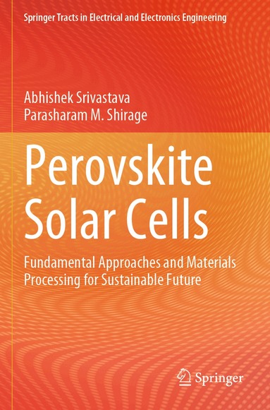Abhishek Srivastava, Parasharam M. Shirage - Perovskite Solar Cells, Häftad