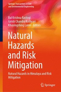 bokomslag Natural Hazards and Risk Mitigation