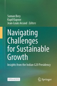 bokomslag Navigating Challenges for Sustainable Growth