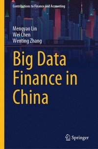 bokomslag Big Data Finance in China