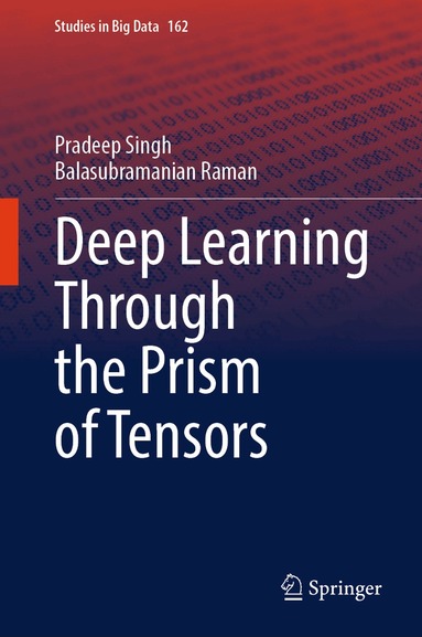 Pradeep Singh, Balasubramanian Raman - Deep Learning Through the Prism of Tensors, Inbunden