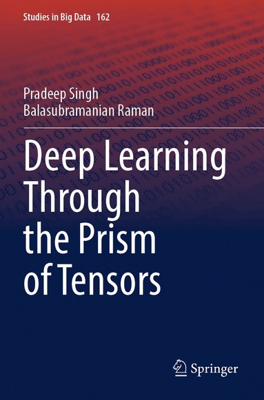 Pradeep Singh, Balasubramanian Raman - Deep Learning Through the Prism of Tensors, Häftad