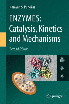 bokomslag ENZYMES: Catalysis, Kinetics and Mechanisms