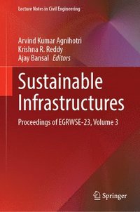 bokomslag Sustainable Infrastructures