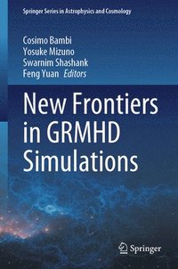 bokomslag New Frontiers in GRMHD Simulations