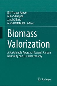 bokomslag Biomass Valorization