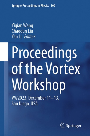 bokomslag Proceedings of the Vortex Workshop