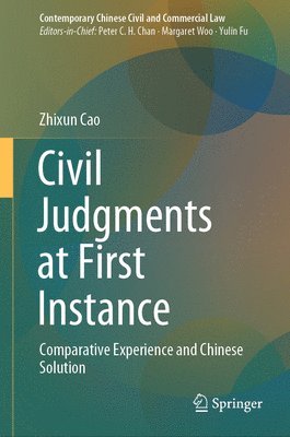 bokomslag Civil Judgments at First Instance