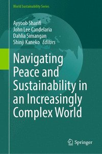 bokomslag Navigating Peace and Sustainability in an Increasingly Complex World