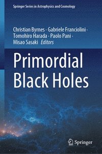 bokomslag Primordial Black Holes