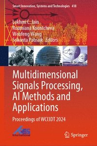 bokomslag Multidimensional Signals Processing, AI Methods and Applications