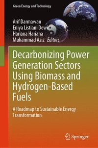 bokomslag Decarbonizing Power Generation Sectors Using Biomass and Hydrogen-Based Fuels