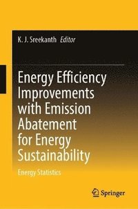 bokomslag Energy Efficiency Improvements with Emission Abatement for Energy Sustainability