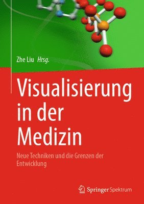 bokomslag Visualisierung in der Medizin