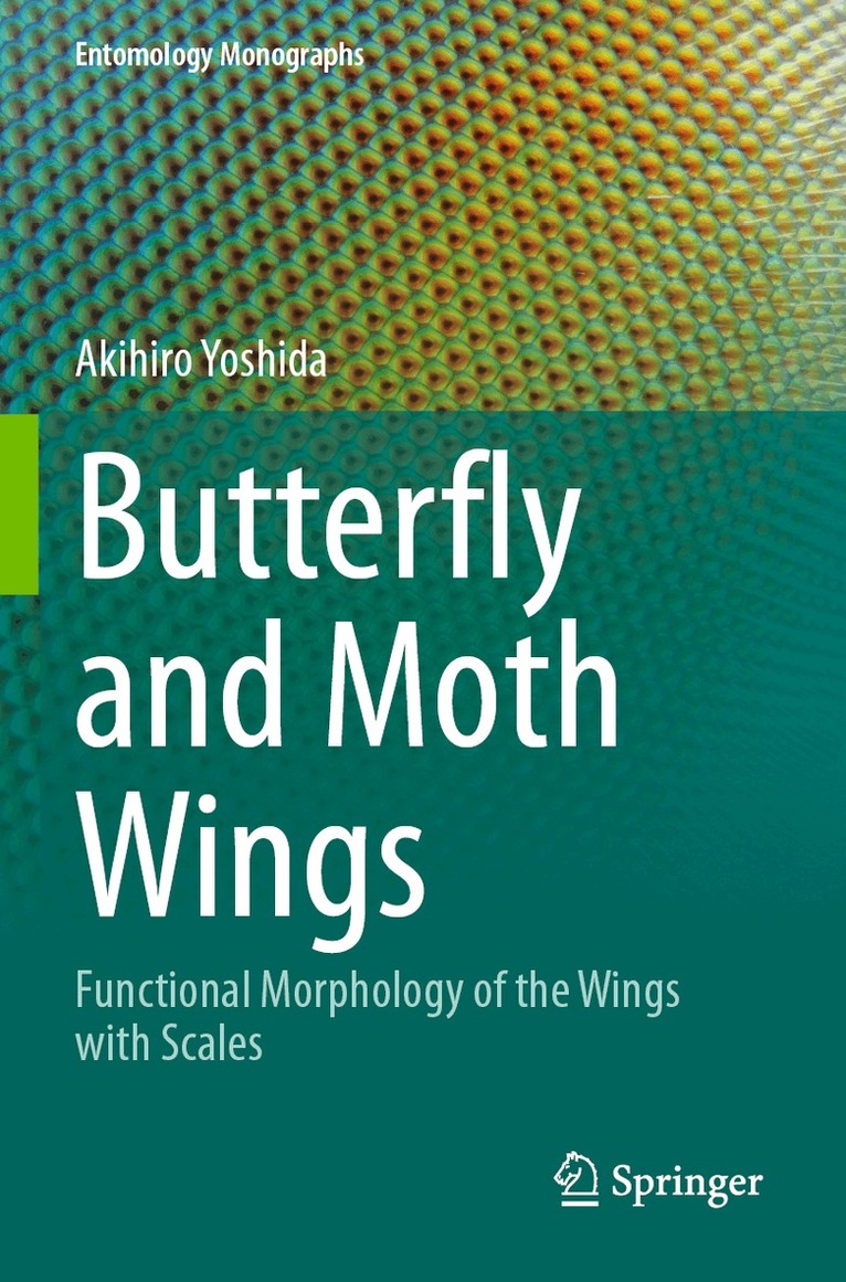 Butterfly and Moth Wings