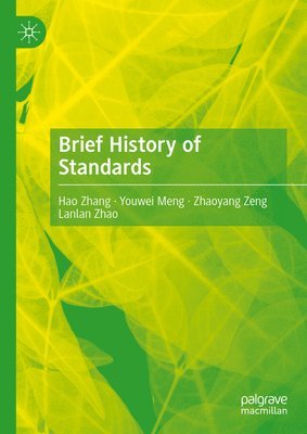 bokomslag Brief History of Standards