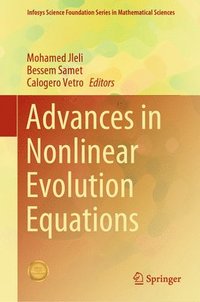 bokomslag Advances in Nonlinear Evolution Equations