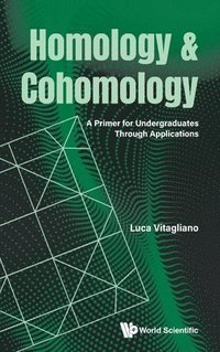 bokomslag Homology And Cohomology: A Primer For Undergraduates Through Applications